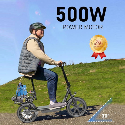 AOVOPRO EB1/EB1 PLUS 500W Electric Scooter 54.6V10.4Ah/22.5Ah Large Capacity Battery 45/100KM Long Range 35km/h 14Inch EScooter.