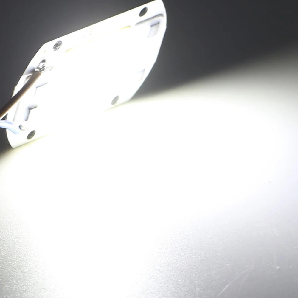 COB Chip LED Lampe 220V 10W 20W 30W 50W Smart IC Keine Notwendigkeit Fahrer Lampada LED Birne Lampe Für Flutlicht Scheinwerfer Diy Beleuchtung