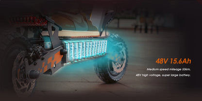 Folding Electric Scooter 48V 15AH(18650lithium battery), 800W Motor, 45KM/H 55KM,10'' Tubeless Wheels.