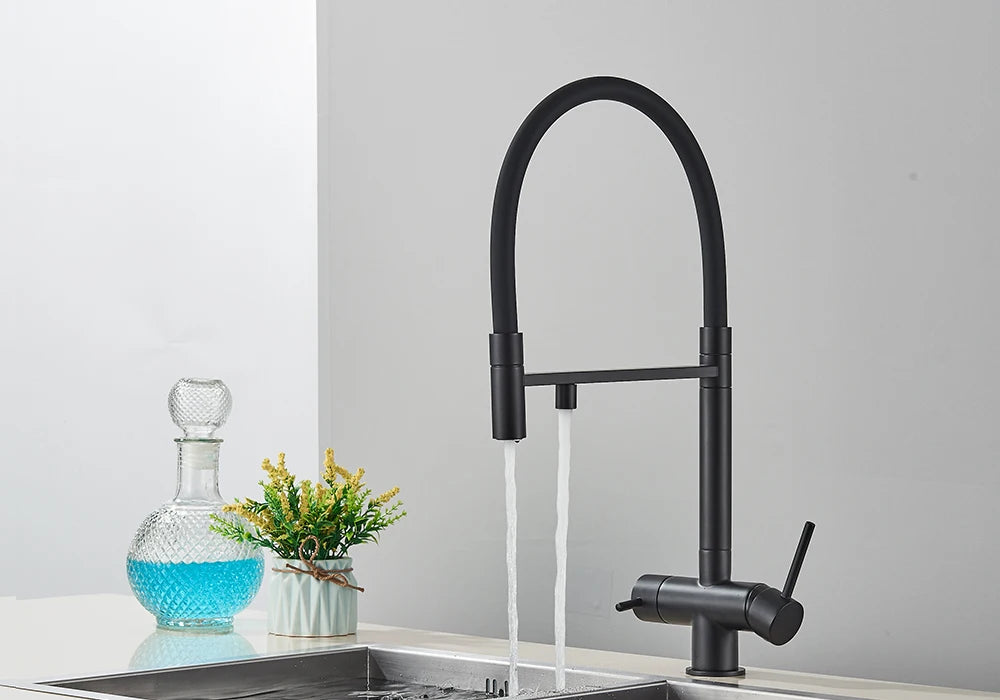 Black Grey Filtered Kitchen Faucet Water Filter Kitchen Faucets Filter Faucet Mixer Water Purification Water Drinking Water Taps