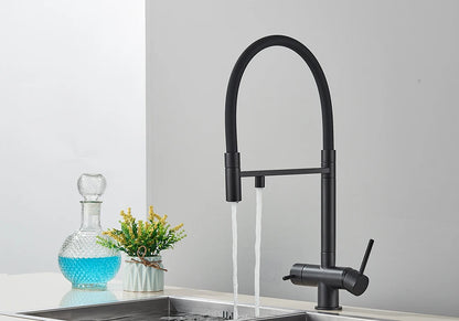 Black Grey Filtered Kitchen Faucet Water Filter Kitchen Faucets Filter Faucet Mixer Water Purification Water Drinking Water Taps