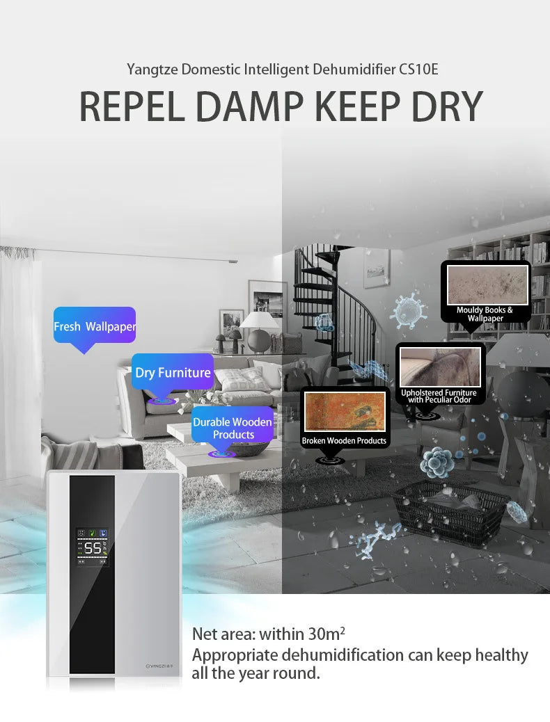 Dehumidifier and Air Purifier 2 in 1 Moisture Absorber Household Mute Bedroom Basement Remote Control Timing External Water Pipe.