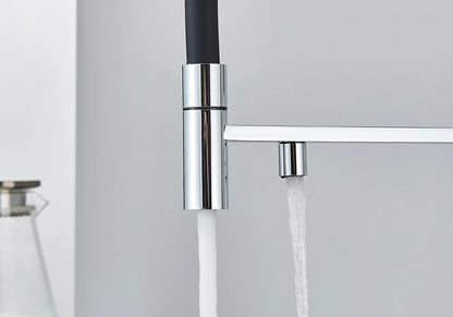 Black Grey Filtered Kitchen Faucet Water Filter Kitchen Faucets Filter Faucet Mixer Water Purification Water Drinking Water Taps