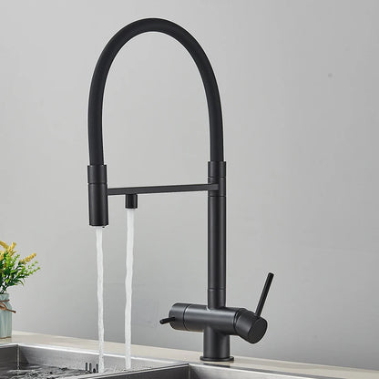 Black Grey Filtered Kitchen Faucet Water Filter Kitchen Faucets Filter Faucet Mixer Water Purification Water Drinking Water Taps