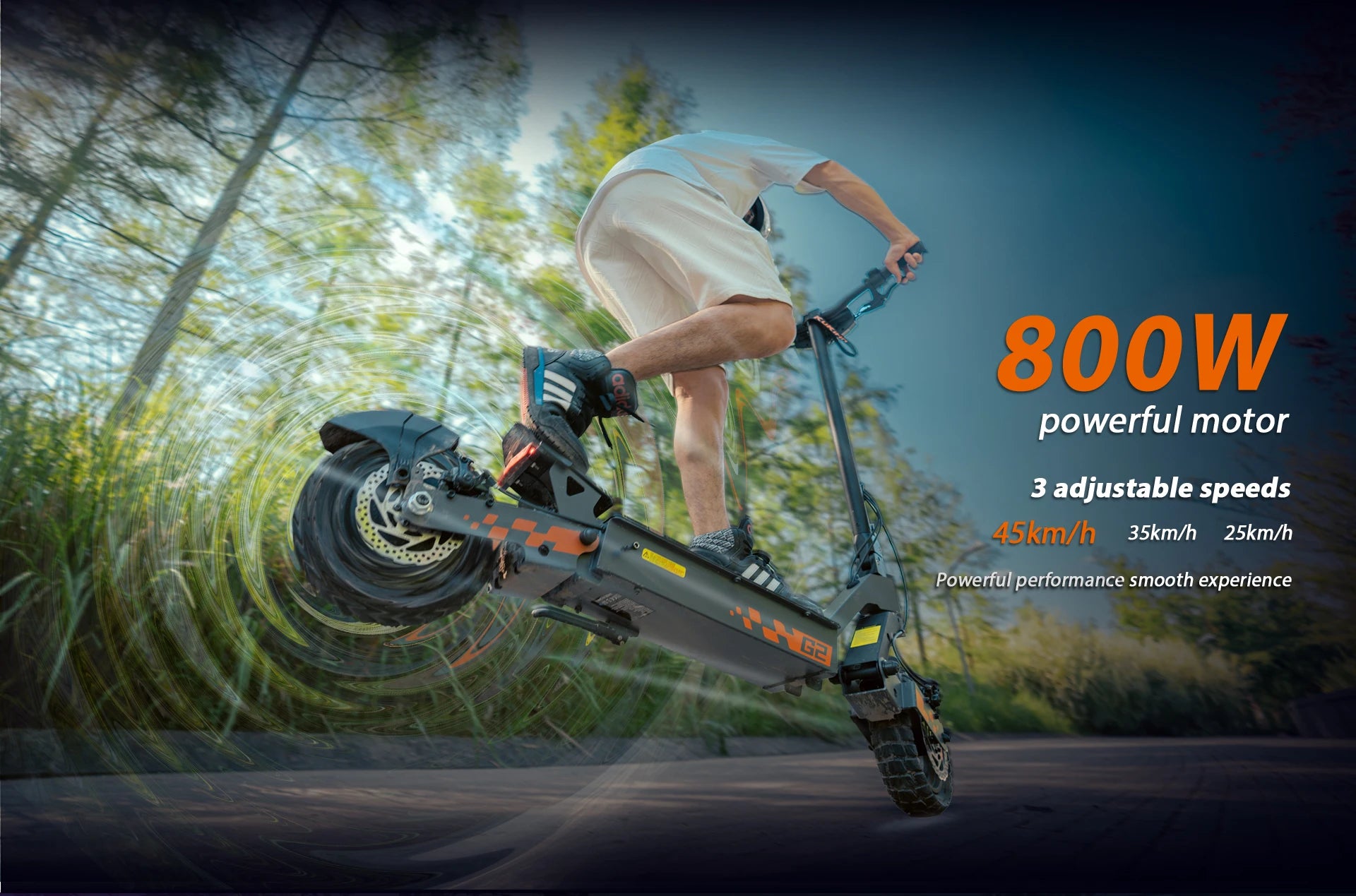 Folding Electric Scooter 48V 15AH(18650lithium battery), 800W Motor, 45KM/H 55KM,10'' Tubeless Wheels.