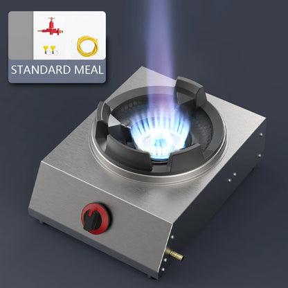 Shaped Single Stove Household Liquefied Petroleum Gas Stove Pulse Electronic Ignition Stove Thickened Stainless Steel Gas Stove