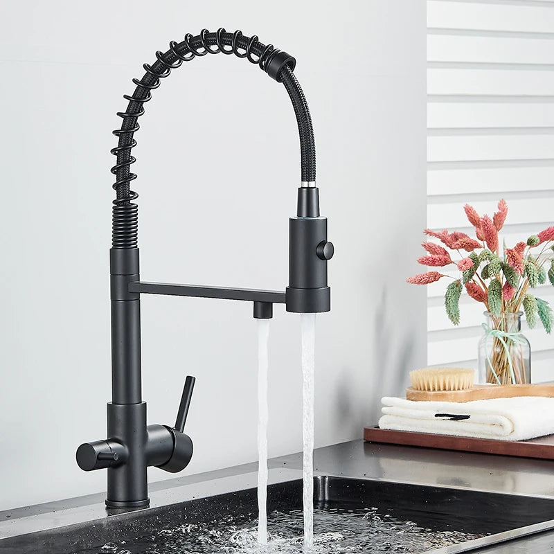 Black Filtered Kitchen Water Filter Kitchen Faucets Dual Spout Filter Faucet Mixer Water Purification Water Crane For Kitchen