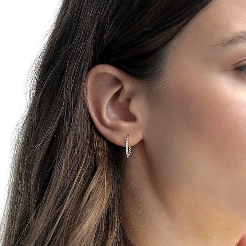 Hoop Earrings for Women Fashion Trend Micro-inlaid Zircon Small & Big Pierced Cartilage Ear Hoops Punk Jewelry Accessories E398.