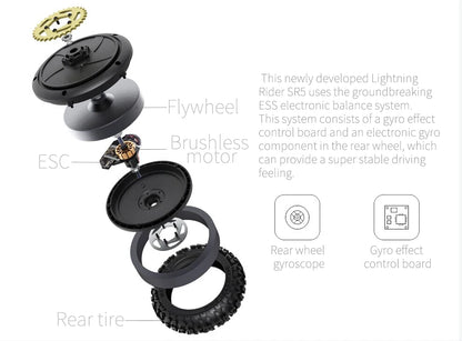 SKYRC SR5 Motorcycle RTR Brushless 1/4 Simulation RC Electric Remote Control Off-Road Cars Dirt Bike Adult Children's Toys.