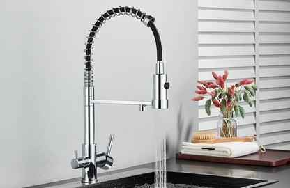 Filter Kitchen Faucet 2 In 1 Pull Down 360° Flexible Drinking Pure Water Purification Faucets Brass Hot Cold Water Mixer Tap