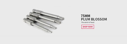 100mm Länge Torx Elektrische Schraubendreher Bit Sets S2 Harte Pflaume Kopf Wind Charge Bits Elektrische Bohrer Charge T8 T10 t20 T25 T30 T40