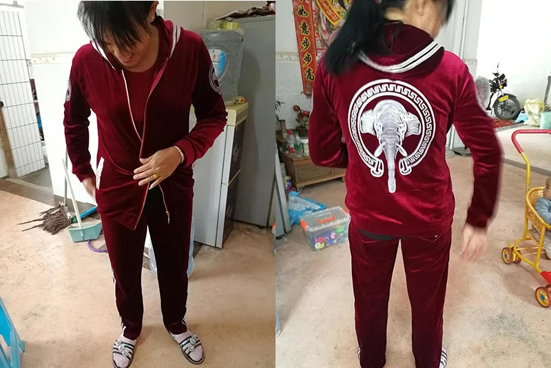 Korean Print Velvet 2 Piece Set Casual Hooded Women Outfit Harem Pant Suits Tracksuit Velour Jogging Femme Spring Fall Conjuntos.