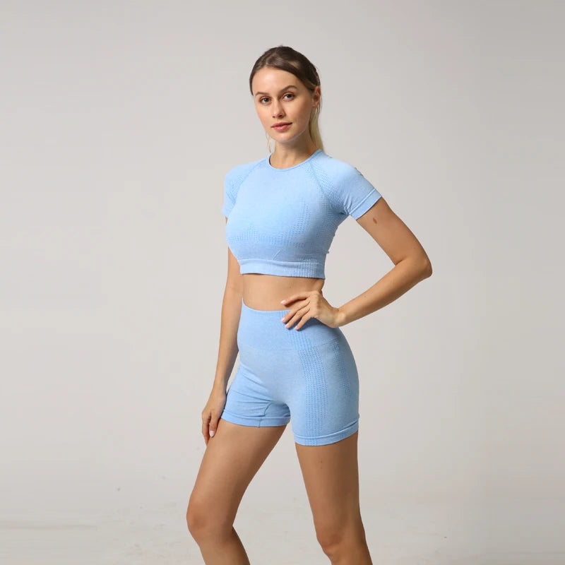 Seamless Women Yoga Set Crop Top Short Sleeve Shirt Fitness Shorts Workout Clothes For Women Gym Clothing Yoga Sport Set.