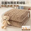 Lamb Fleece Double-Sided Velvet Blanket Double-Layer Thickened Woven Polyester Wearable Blanket