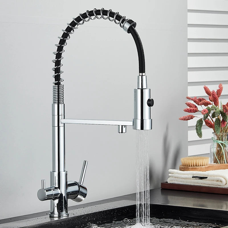Black Filtered Kitchen Water Filter Kitchen Faucets Dual Spout Filter Faucet Mixer Water Purification Water Crane For Kitchen