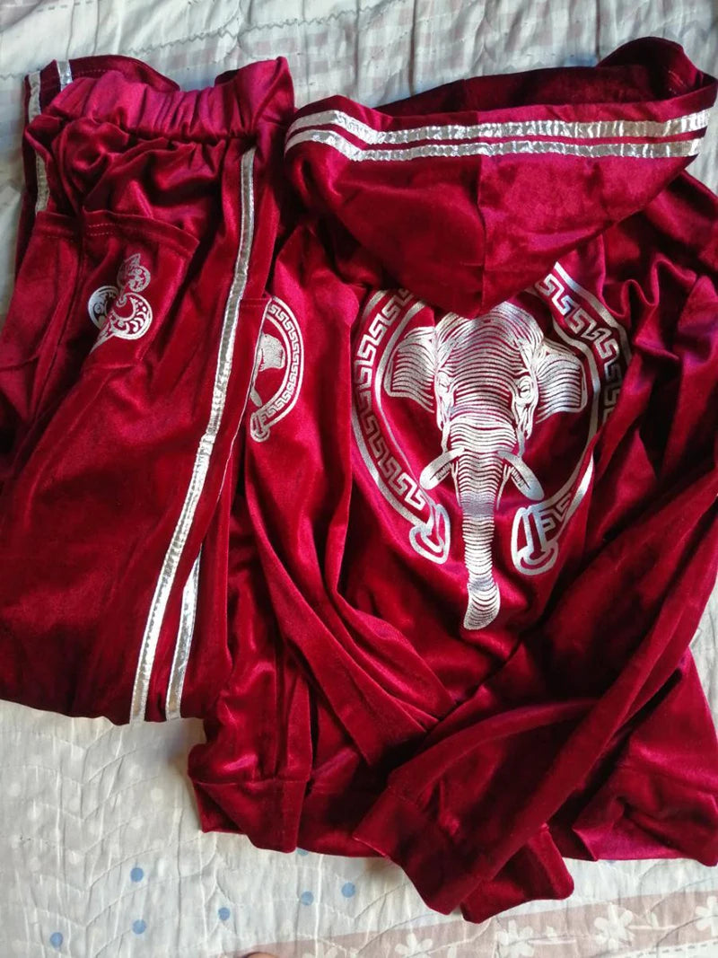 Korean Print Velvet 2 Piece Set Casual Hooded Women Outfit Harem Pant Suits Tracksuit Velour Jogging Femme Spring Fall Conjuntos.