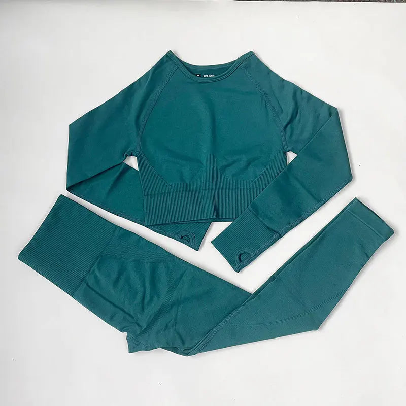 High Waist Elastic Seamless Yoga Wear Women Fitness Clothes Gym Clothing Workout Set Long Sleeve Crop Top Leggings Sports Suit