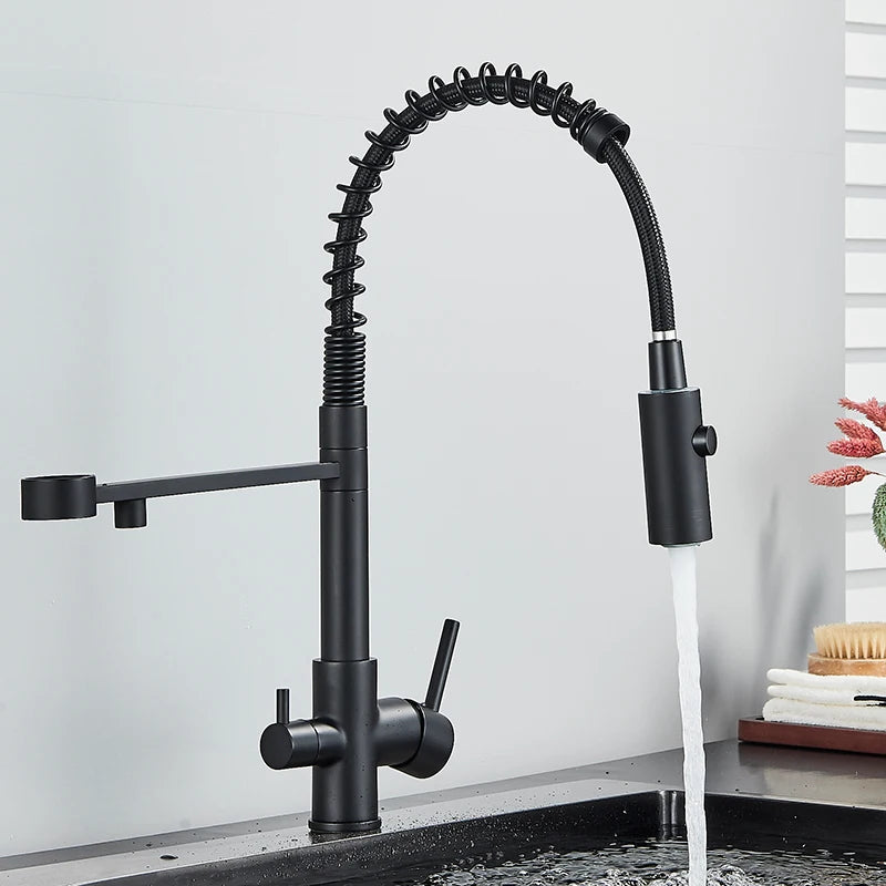 Black Filtered Kitchen Water Filter Kitchen Faucets Dual Spout Filter Faucet Mixer Water Purification Water Crane For Kitchen