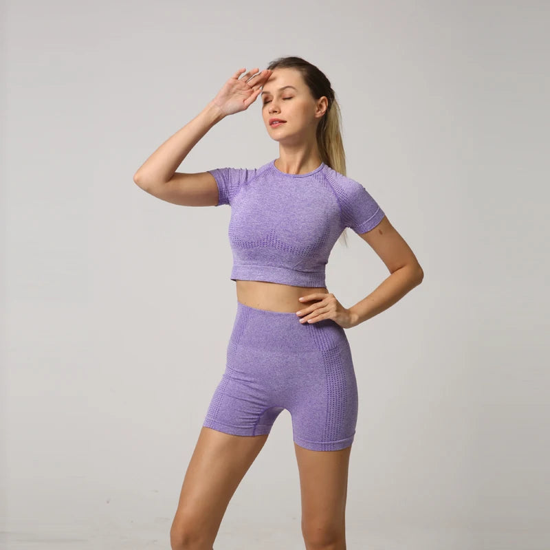 Seamless Women Yoga Set Crop Top Short Sleeve Shirt Fitness Shorts Workout Clothes For Women Gym Clothing Yoga Sport Set.