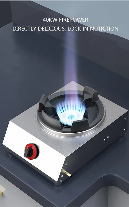 Shaped Single Stove Household Liquefied Petroleum Gas Stove Pulse Electronic Ignition Stove Thickened Stainless Steel Gas Stove.