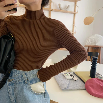 2025 Knit Jumpers Top Chic Autumn Winter Sweater Pullovers Women Long Sleeve Casual Turtleneck Warm Basic Sweater.