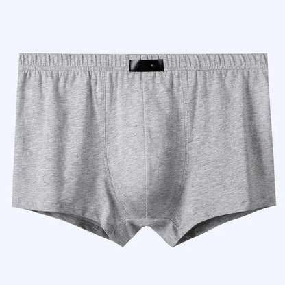8PCS Herrenhöschen Man Undrewear Boxershorts Herren Innen Atmungsaktiv Große Größe 100% Baumwolle