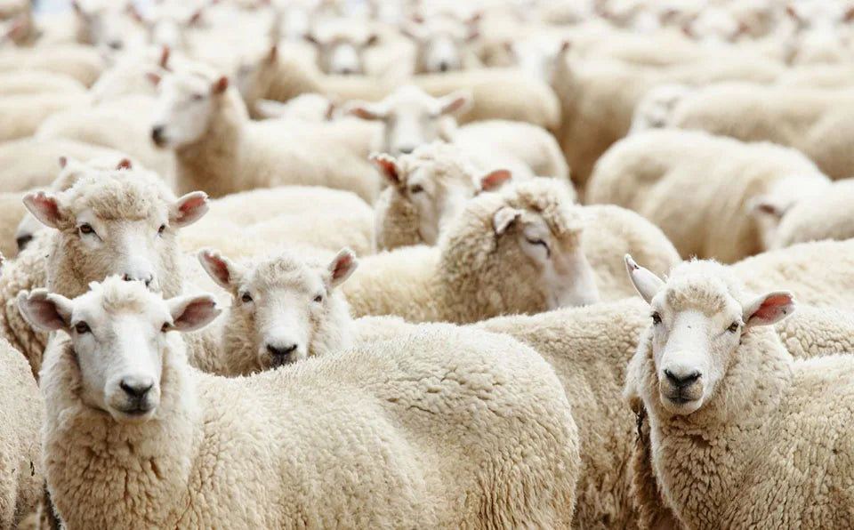 Winter Men's Merino Wool Socks Super Thick Warm High Quality Harajuku Retro Snow Casual Antifreeze Cashmere Socks Men 3 Pair.