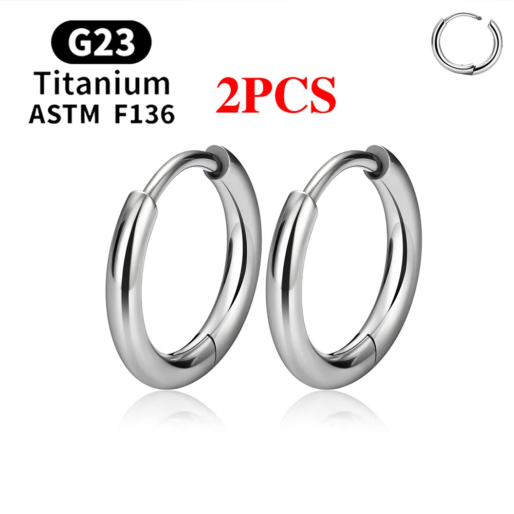 2/20PCS G23 Titanium Earring Hoop CZ Hinged Segment Round Nose Ring for Women Ear Tragus Cartilage Helix Daith Piercing Jewelry.