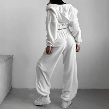 Fall Winter Women's Fashion Hooded Stand Collar Sweatshirt Set Casual Loose Fit Two Piece Streetwear Lounge Gym Ourdoor Outfit.