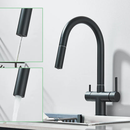 Filter Kitchen Faucet Pull Out Flexible Drinking Water Kitchen Faucets Dual Handle Metal 2 in 1 Hot Cold Water Mixer Tap