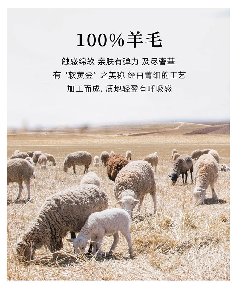 2025 Autumn Winter New Men's Wool Sweater Solid Color V-Neck Pullover Sweater Casual Loose Business Knit Plus Size Base Sweaters.