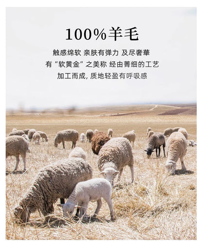 2025 Autumn Winter New Men's Wool Sweater Solid Color V-Neck Pullover Sweater Casual Loose Business Knit Plus Size Base Sweaters.