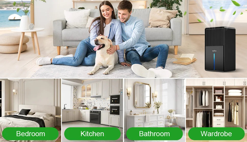 LOEFME 3000ml Electric Dehumidifier Large Air Dryer Drying Mode Mould Moisture Damp with Timer 800mL/Day for Home Bedroom Office.