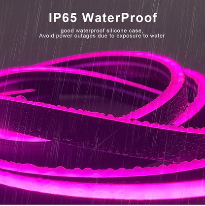 Tuya Smart WiFi LED Neon Light Strip 12V Black Silica Gel Tube RGB Bluetooth APP Neon Lamp Tape For Home Room Christmas Decor.