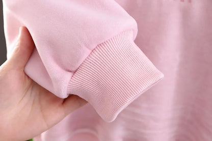 Baby Girls Warm Set Autumn Winter Lining Plush Thick Outfits Kids Cartoon Rabbit Ear Hoodie+Pants 2Pcs Children Casual Clothing.