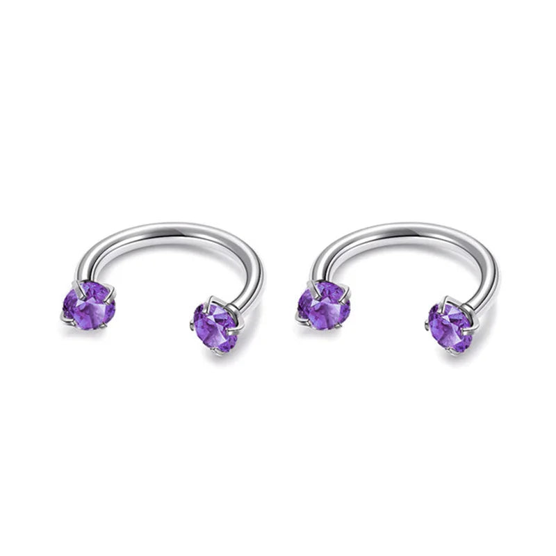 2Pcs 6/8/10mm Stainless Steel Zircon Piercings Earrings Horseshoe Ring Piercing Nose Ear Belly Rings Body Jewelry For Women/Men.