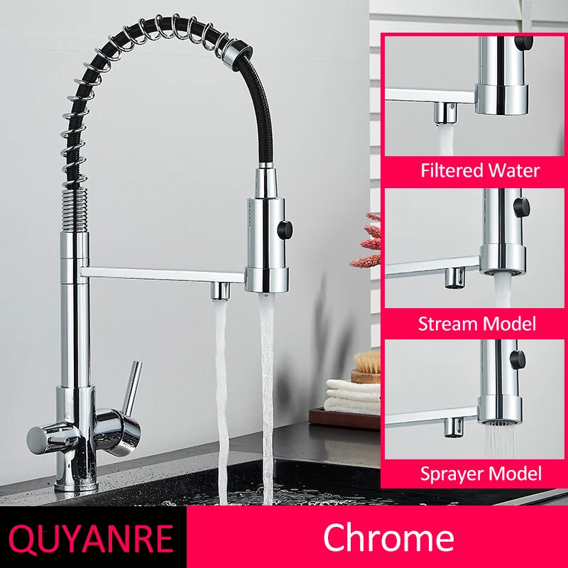 Black Filtered Kitchen Water Filter Kitchen Faucets Dual Spout Filter Faucet Mixer Water Purification Water Crane For Kitchen