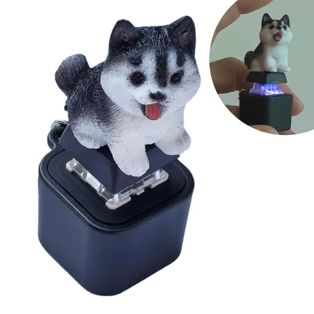 Frog Croaking Fidget Toy Keychain With Colorful Lights Rechargeable Keychain With Led Fun Animal Sound Button Toy Stress Relief.