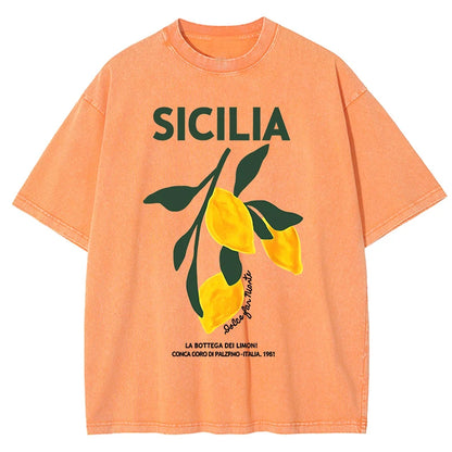 Amalfi Coast Italia Lemon Fruit Design Women Washed T-Shirts Y2K Casual T Shirt Summer Hip Hop Top Cotton Loose Short Sleeve.