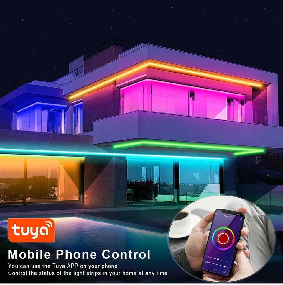 Tuya Smart WiFi LED Neon Light Strip 12V Black Silica Gel Tube RGB Bluetooth APP Neon Lamp Tape For Home Room Christmas Decor.