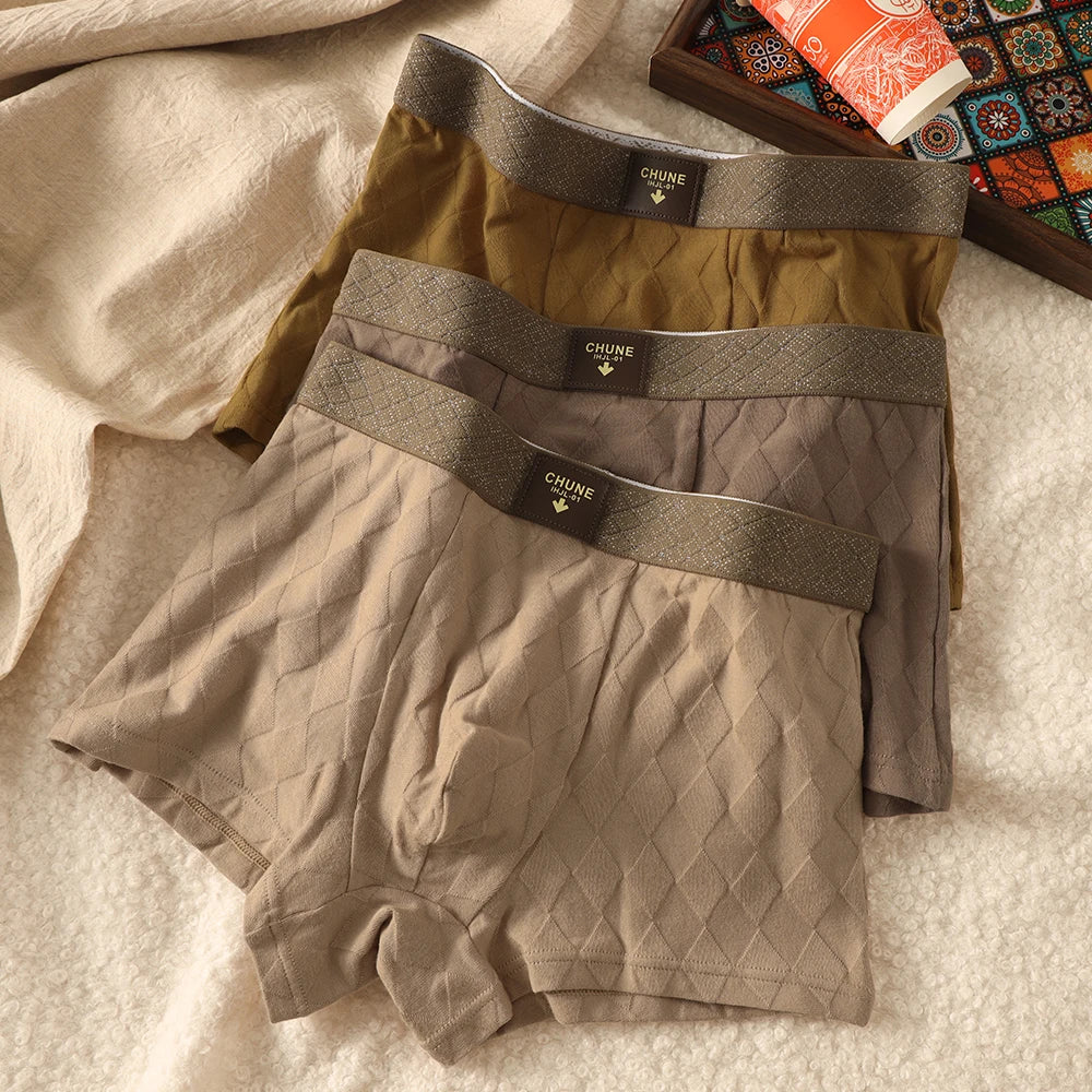 3 Teile/paket 100% Baumwolle Solide Raute Unterwäsche Atmungsaktive Antibakterielle Mesh Schritt Boxer Mann Hohe Elastische Wiast Männer der Höschen