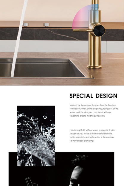 Luxury brushed gold kitchen faucet with pull-out design, 1-hole single handle cold and hot dual control dual function sink Tap