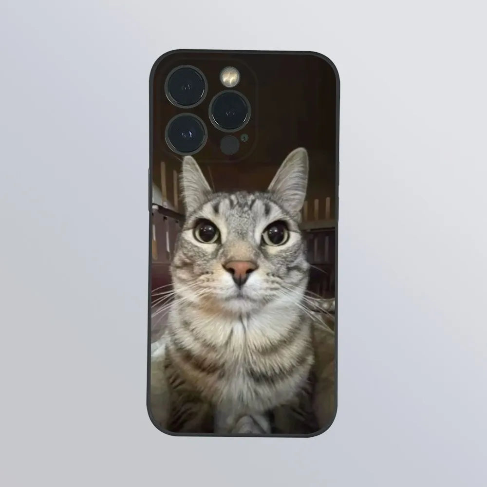 Pet Cat Funny memes Phone Case For iPhone 16 15 14 13 Pro Max Plus Mini Frosted Soft Shell Funda.