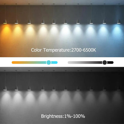 Alexa Wifi Smart Filament Glühbirnen, kompatibel mit Alexa/Google Home, Sprachsteuerung, APP-Steuerung.