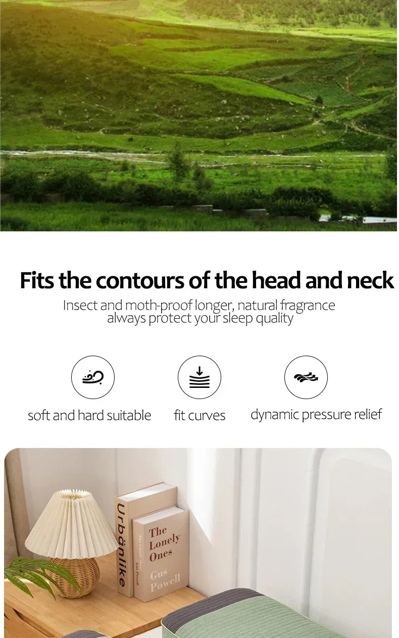 Sobakawa Traditional Buckwheat Standard Size Pillow Organic Cotton with Natural Technology for Cool Sleep Bed Sleep Pillow.