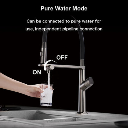 AITANA Luxury Brass Gun Grey Pull out 2-Function Kitchen Faucet Single Handle Cold and Hot Water Pure Water Design Sink Tap