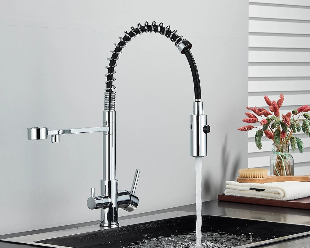 Black Filtered Kitchen Water Filter Kitchen Faucets Dual Spout Filter Faucet Mixer Water Purification Water Crane For Kitchen