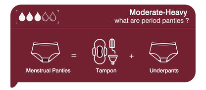 Seamless Period Underwear Menstrual Cycle Absorbent Underwear for Women Heavy Flow Leak Proof Menstrual Panties for Menstruation.