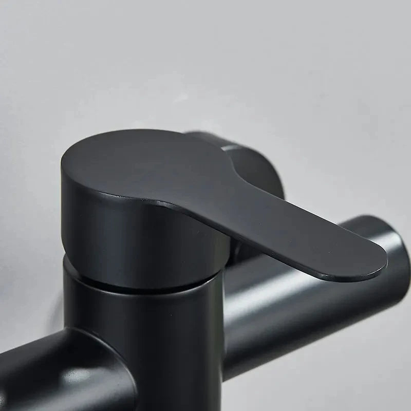 Kitchen Faucets Stainless Steel Wall Mounted Dual Hole Bathroom 360 Rotate Basin Faucet Cold Hot Water Mixer Taps With spray gun