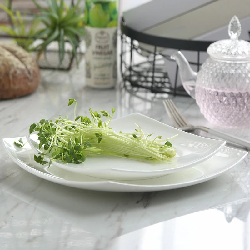 10.5 inch, bone china square dish, white ceramic plate for steak / soup, buffet serving trays, novalty dinner plate, rectangle.